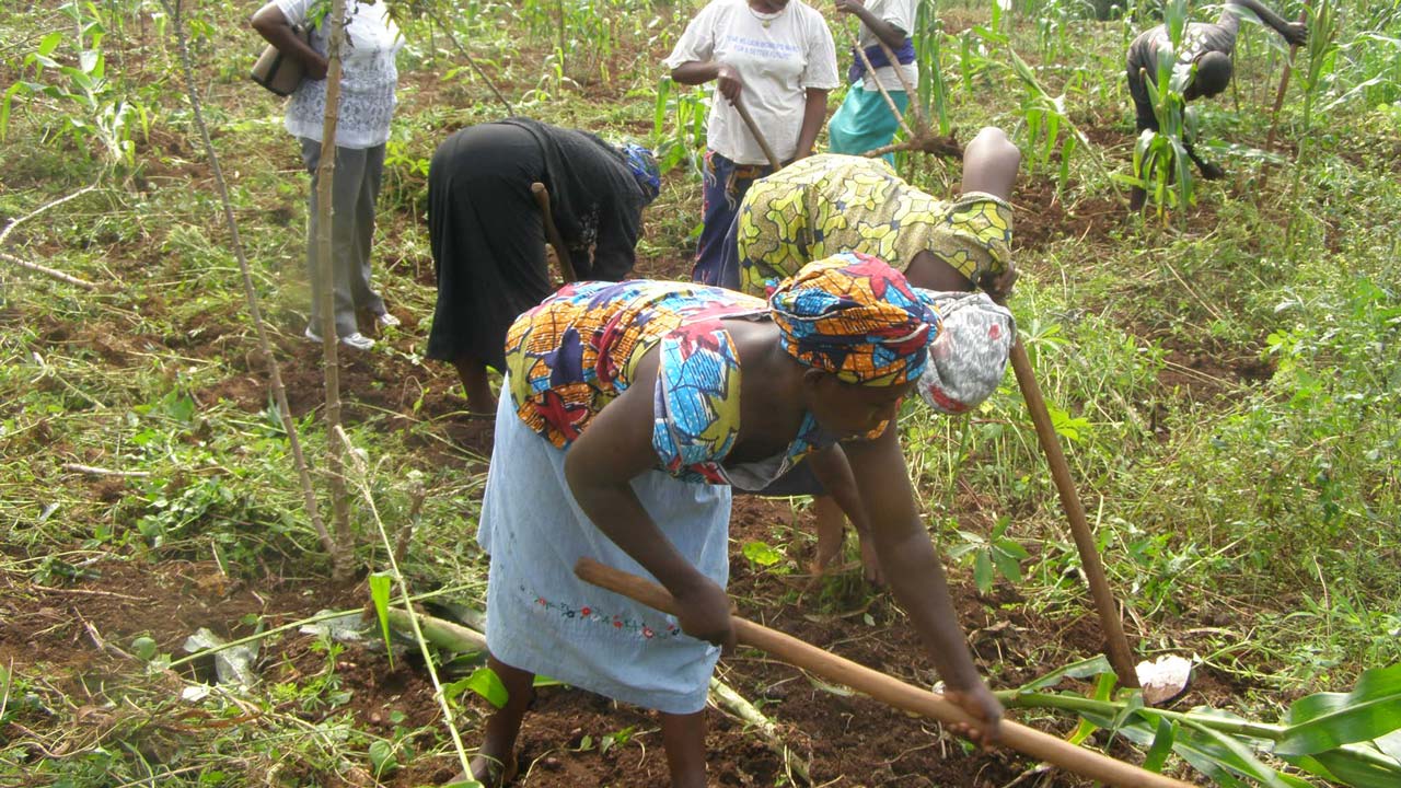 Federal Gov't To Review Gender Policy On Agriculture