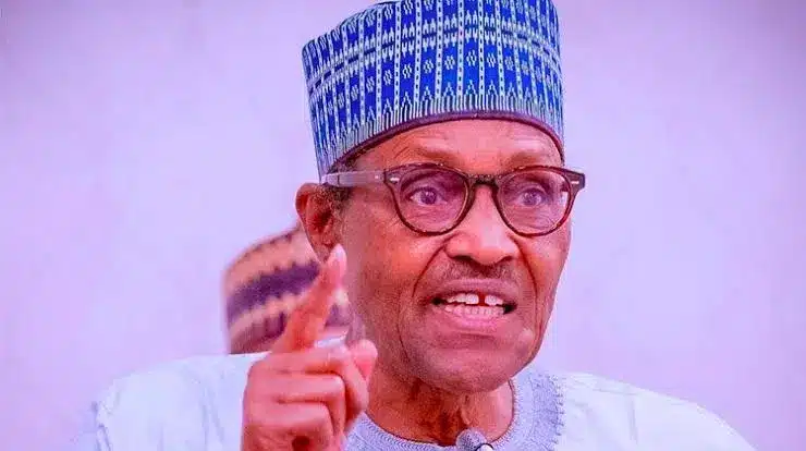 I Get Money For Feeding By Renting Out One Of My Houses - Buhari