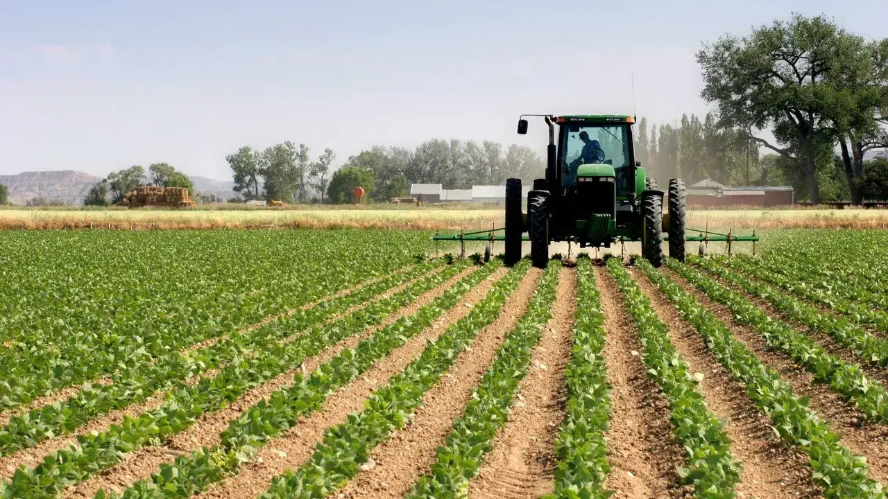 Investors Gain N468.56bn In Agric Stocks