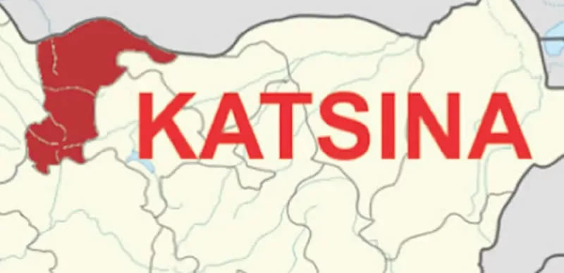 Katsina Leads In NG-SURWASH Project Implementation