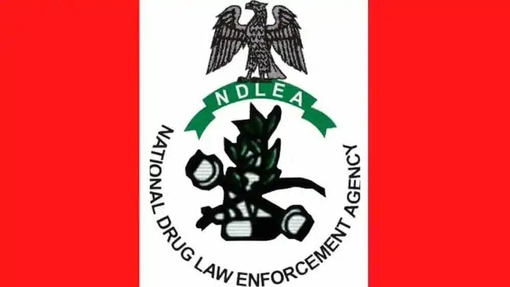 15 Drug Kingpins Receive 168 Years' Imprisonment In 2023 – NDLEA Chairman