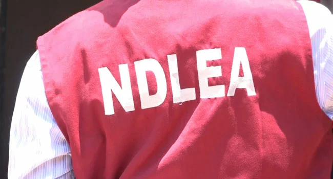 NDLEA Arrests 2, Seizes Drugs In Violent Kano Raid