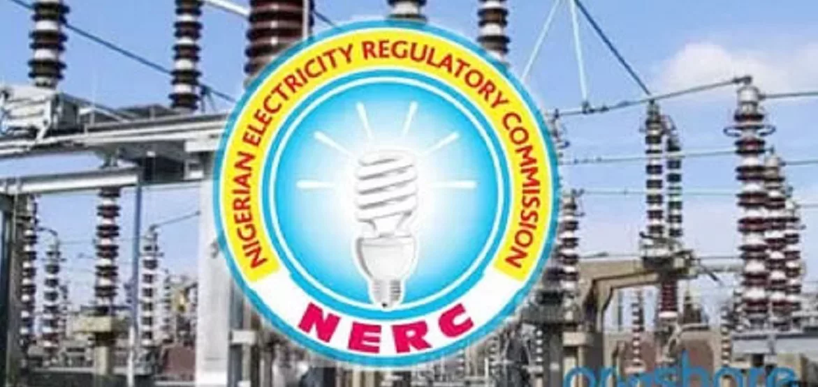 NERC Grants Regulatory Oversight To Niger Electricity Commission