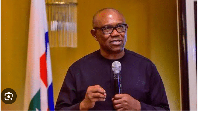 NNPC: This Government Must Take Responsibility For The Mess It Created - Peter Obi