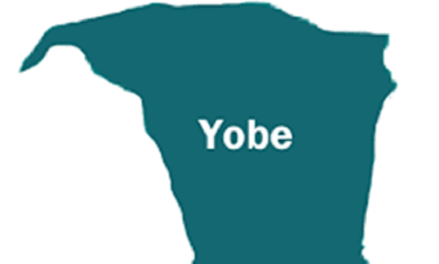 Police Arrest 5 Over Alleged Criminal Conspiracy, Fraud In Yobe