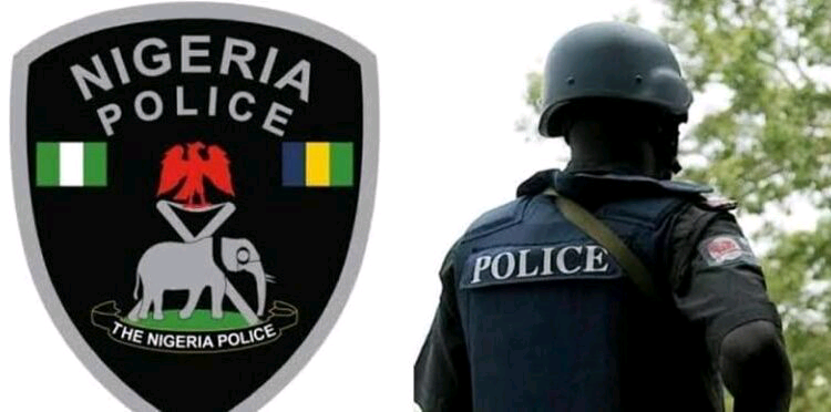 Police detain 2 robbery suspects in Delta, recover ammunition