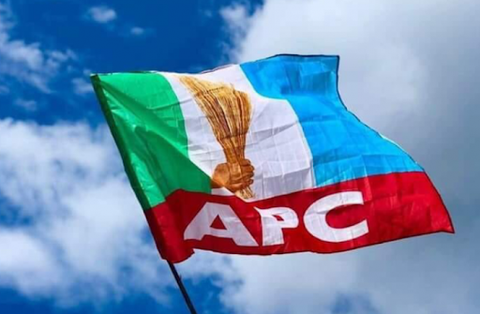 Poll: We didn’t ask LG chairmen seeking re-election to resign – Lagos APC