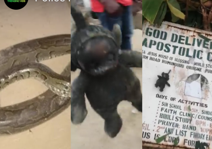 Shock as live python, charm, coffin is found buried beneath Nigerian church altar (video)