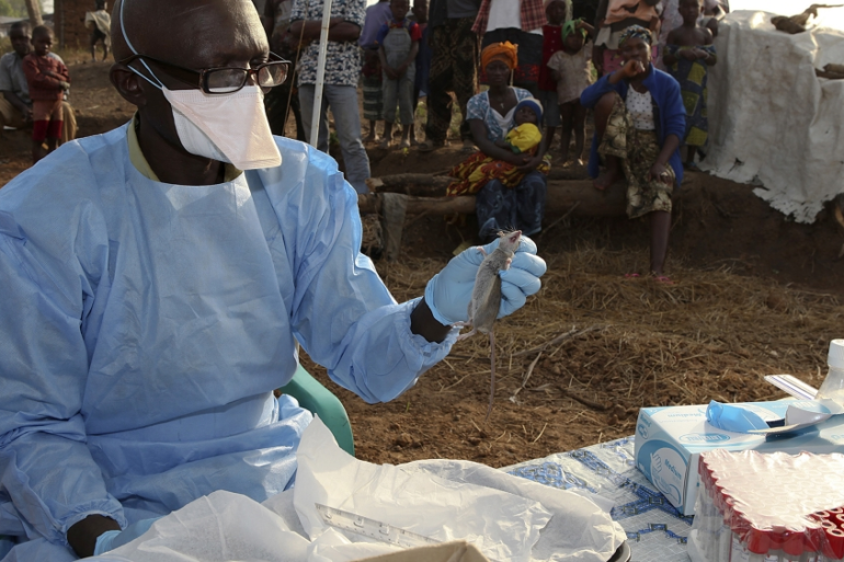 Tackling The Lassa Fever Scourge