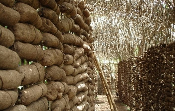 Yam Farmers Blame Price Hike