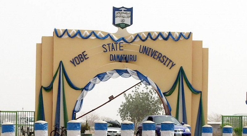 Yobe State University gets acting Vice Chancellor