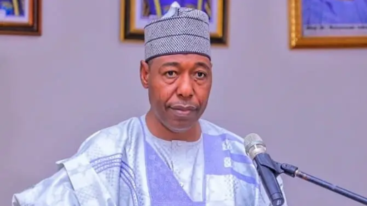 Zulum Opens Banki International Cattle Market