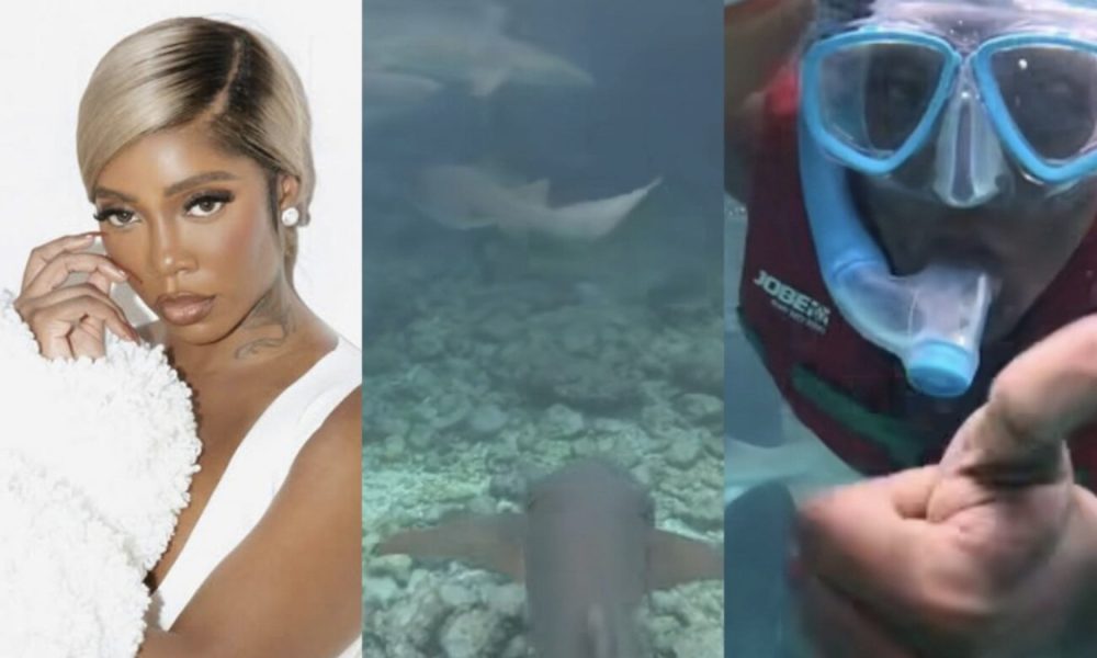 ‘Sharks In Music Industry Are More Dangerous Than Those In Water’