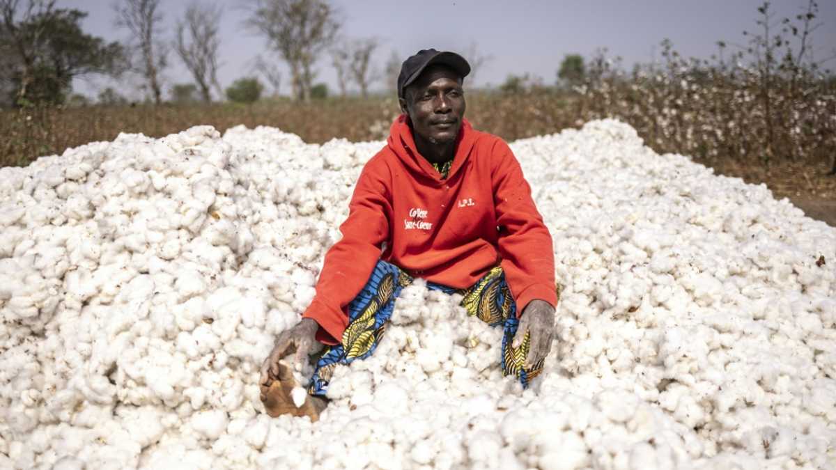 Benin seeks home-grown cotton 'revolution'