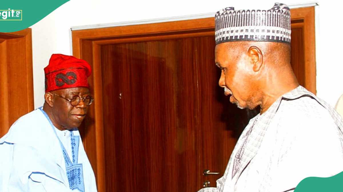 “Regrouping of those Who Lost Political Favours": Masari Downplays Alliance Against Tinubu