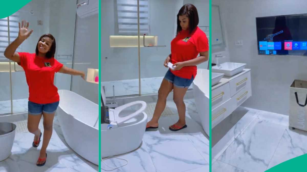 Lady Shows off Her Luxury Restroom With Air Conditioner, Smart TV and Remote-Controlled Toilet