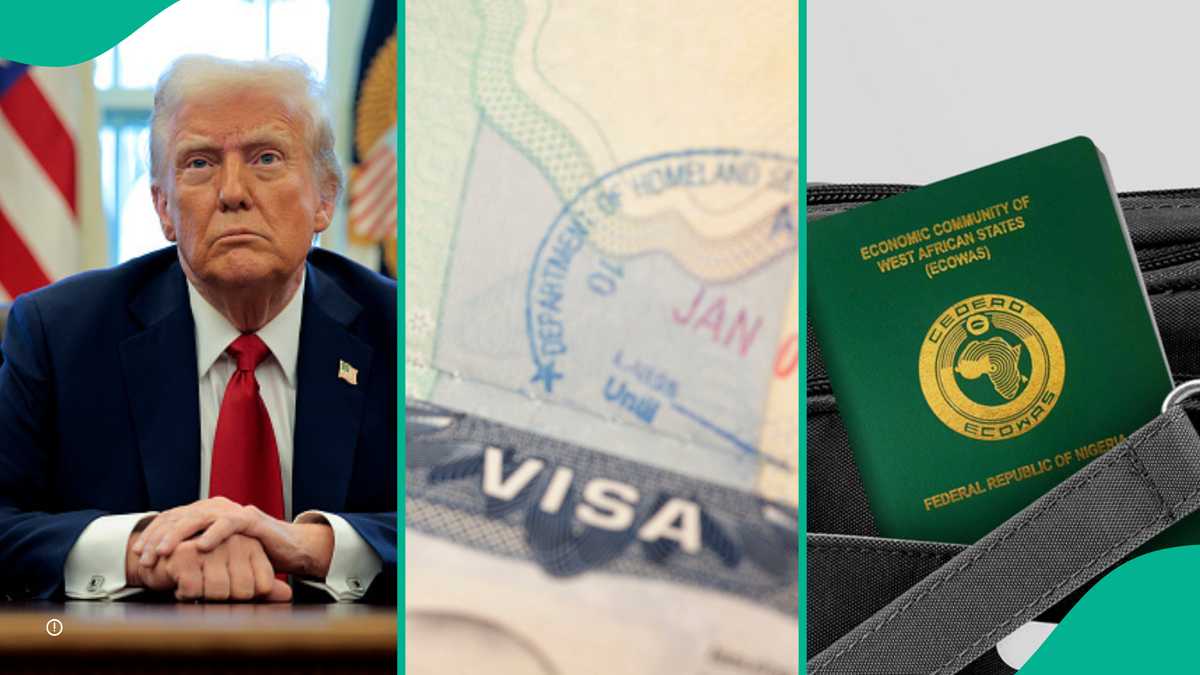 Trump Deportation: 4 Things To Know About Visa Lottery That Allows 55,000 People To Enter USA Yearly