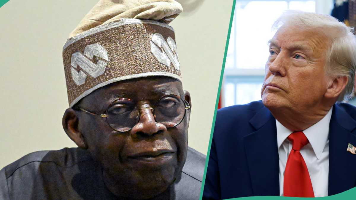 Did Trump Target Tinubu, African Leaders to Sell Their Jets, Deport Their Children? Fact Emerges