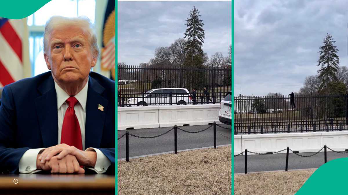 Donald Trump: Dramatic Video Shows Moment Man Climbed White House Fence