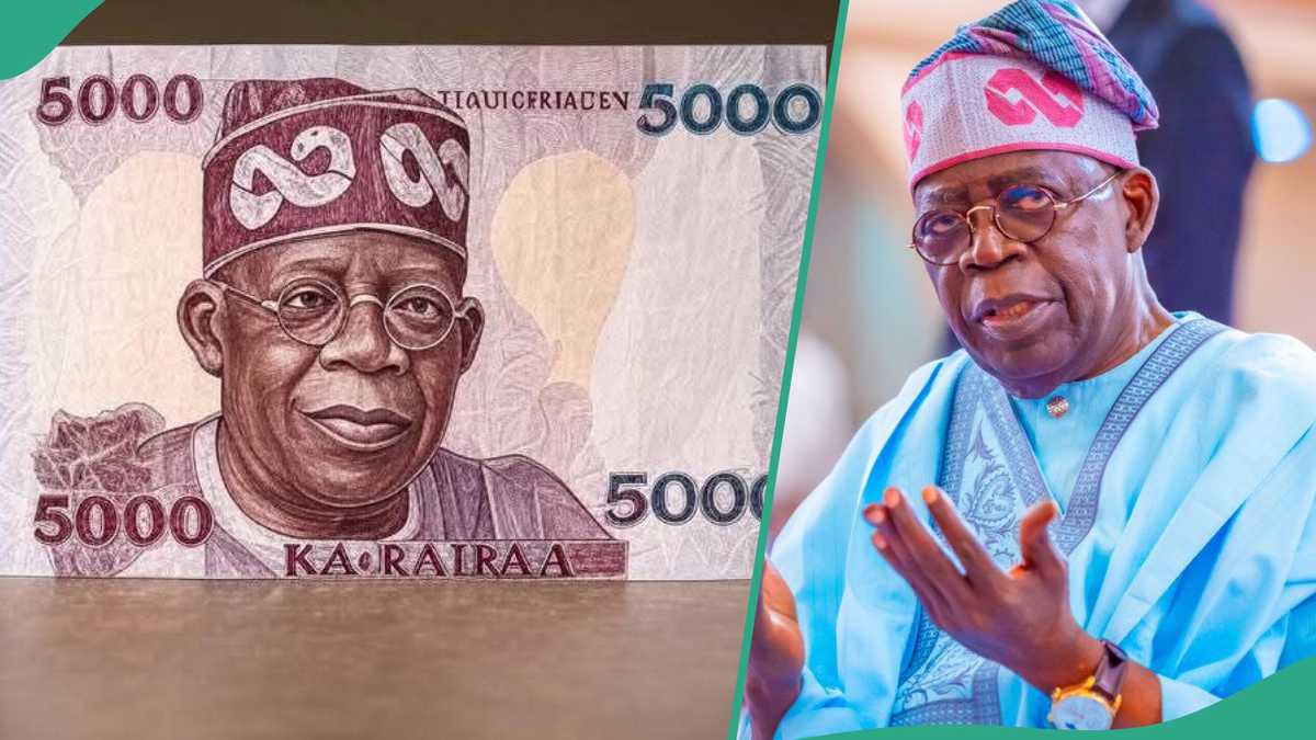 Did CBN Unveil ₦5000 Note With Tinubu's Image? Fact Emerges