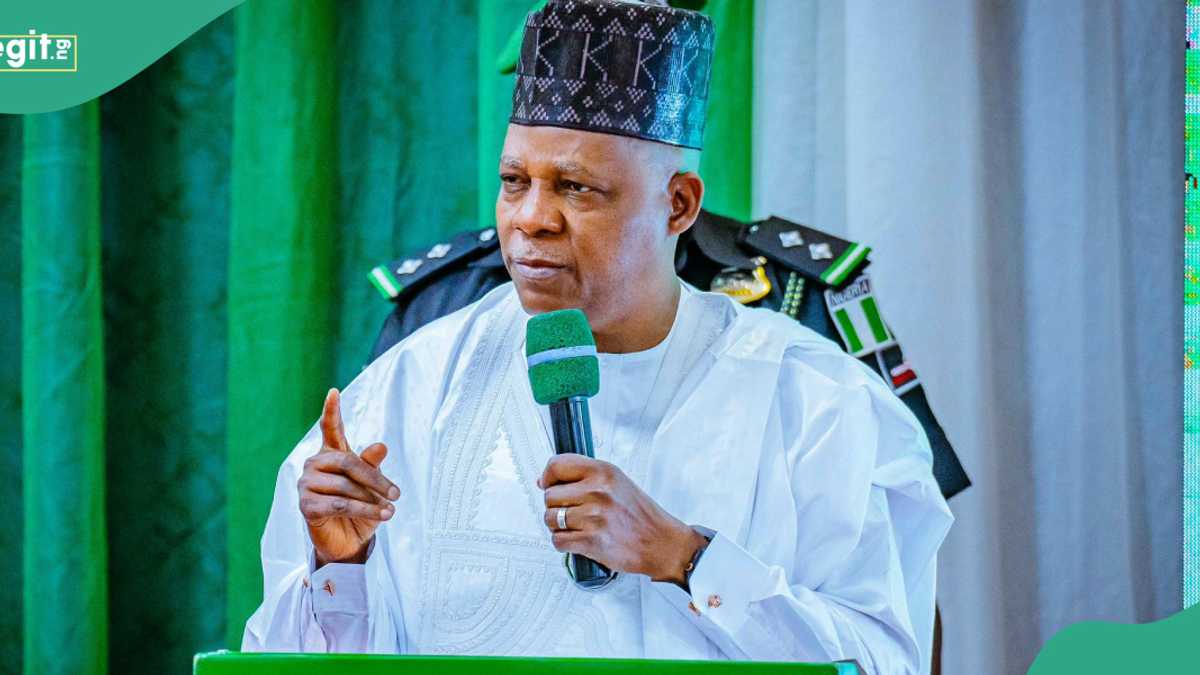 Shettima Announces How 13 US Citizens Came to Nigeria for Cheap Kidney Transplant, Details Emerge