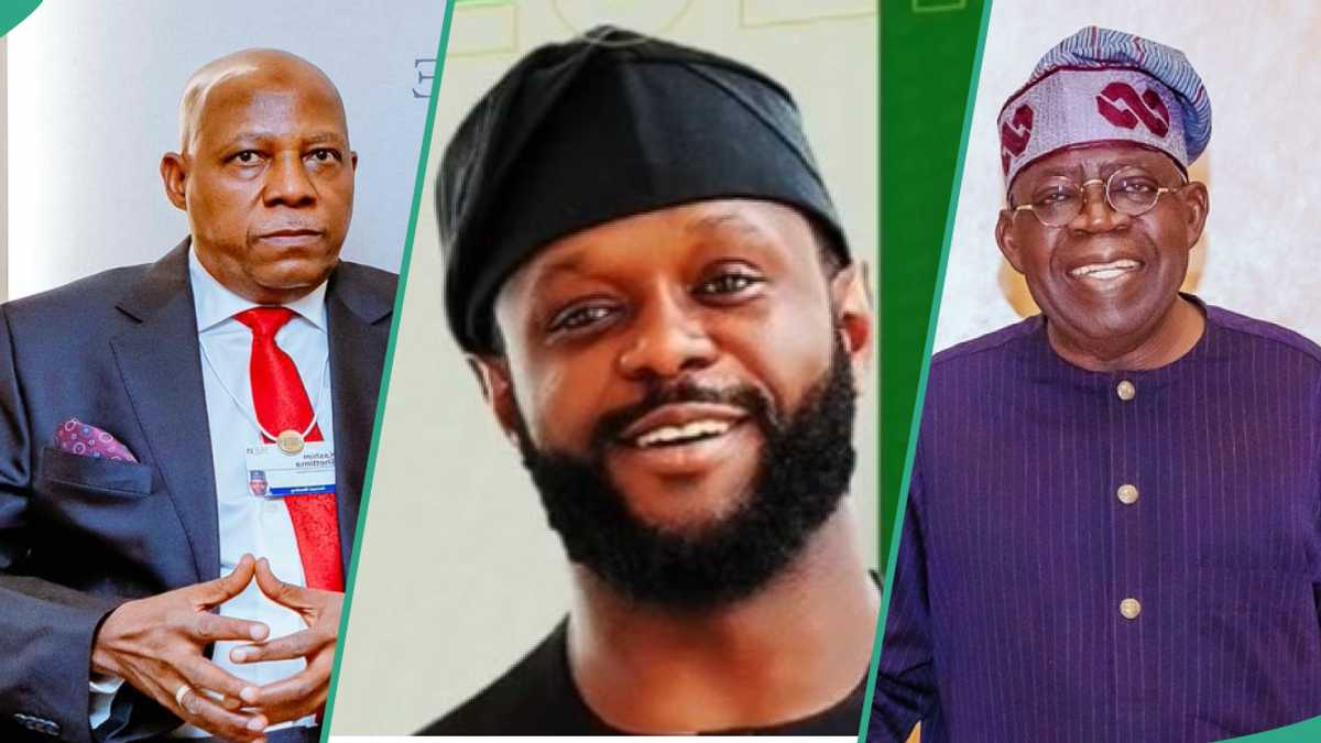 Did Shettima Protest That President ’Delegates VP’s Responsibilities’ to Seyi Tinubu? Fact Emerges