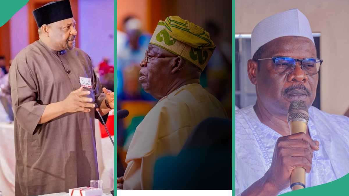 Top APC, PDP Senators Who Have Been Dealt With For Criticising Tinubu