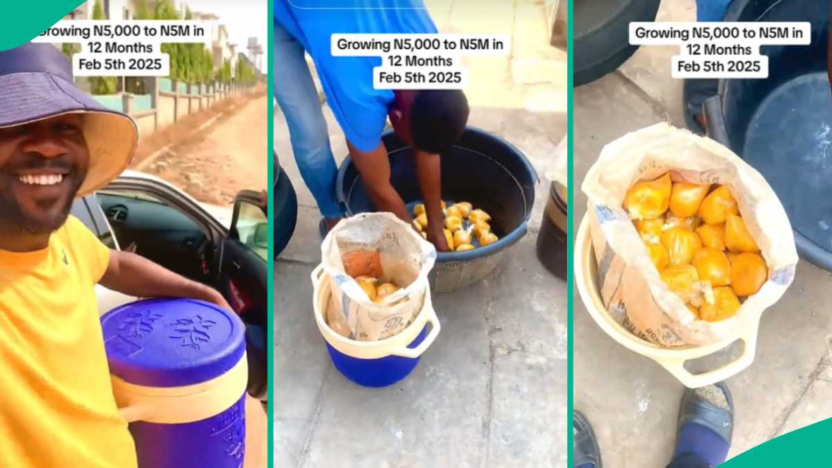 Nigerian Man on Mission to Grow N5k to N5m Selling Okpa Starts Hawking Aggressively