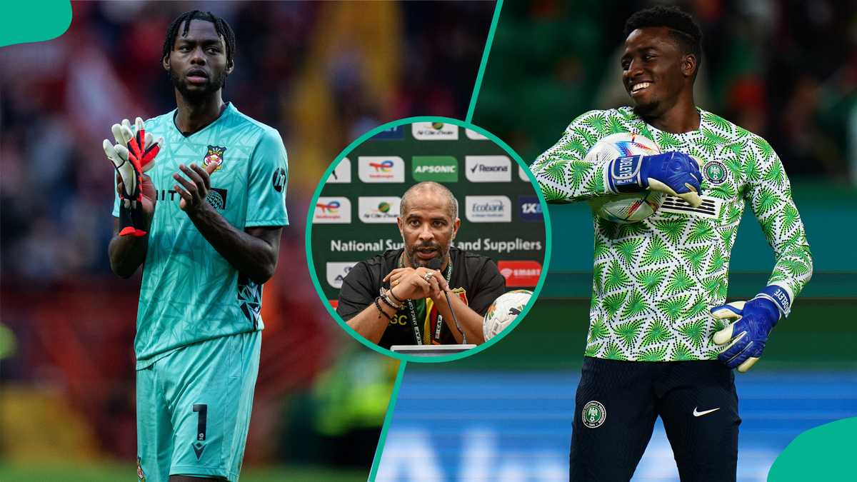 3 Goalkeepers Eric Chelle Could Call Up for the Super Eagles As Udinese Drops Maduka Okoye