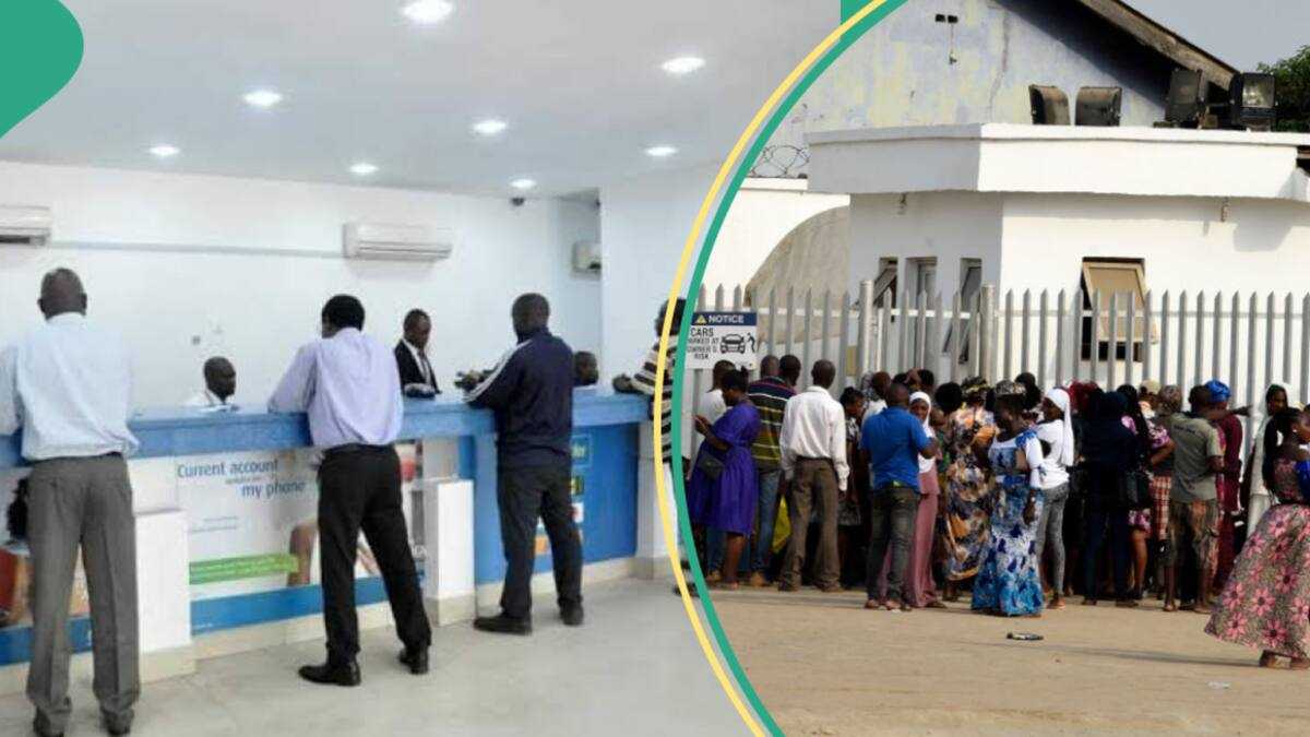 Cash Crunch: Nigerian Banks Borrow Record N1.2 Trillion From CBN in a Single Day