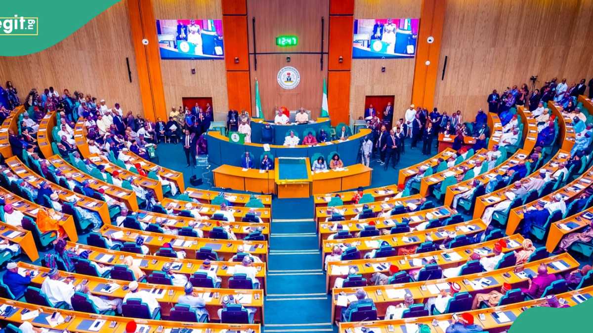 "Why Not 774?": Analyst Reacts as Reps Receive Proposals To Create Additional 31 States in Nigeria