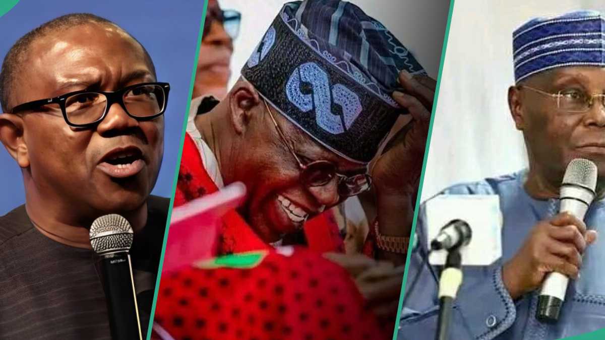 2027: Political Analyst Mentions What Obi, Atiku, El-Rufai, Others Must 'Sacrifice' to Unseat Tinubu