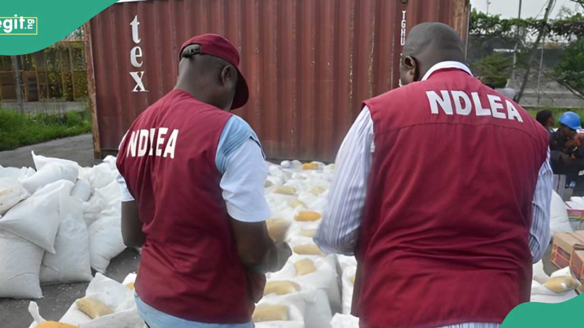 NDLEA Declares 4 Members of Top Nigerian Drug Cartel Wanted, Releases Photos