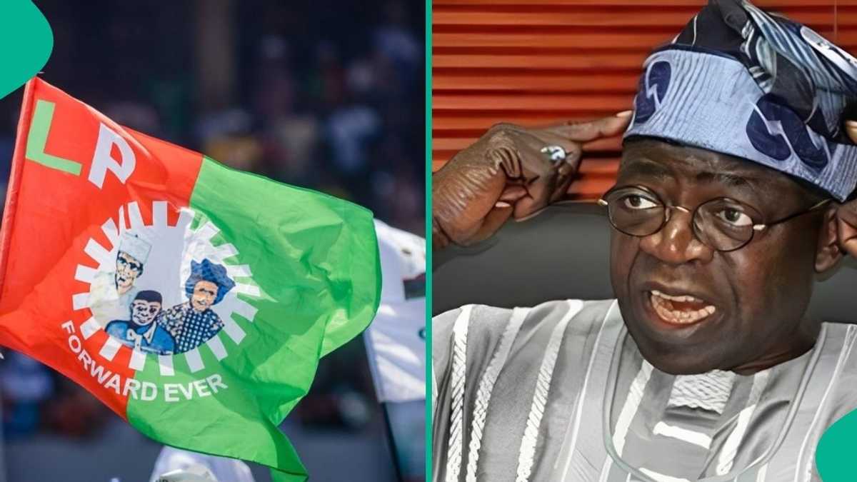 2027: Prominent LP Chieftain Finally Uncovers 'The Chosen One' To Battle Tinubu, Details Emerge