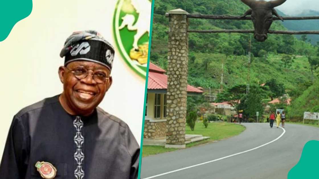 FG set to turn Obudu Cattle Ranch into Livestock and Dairy Hub