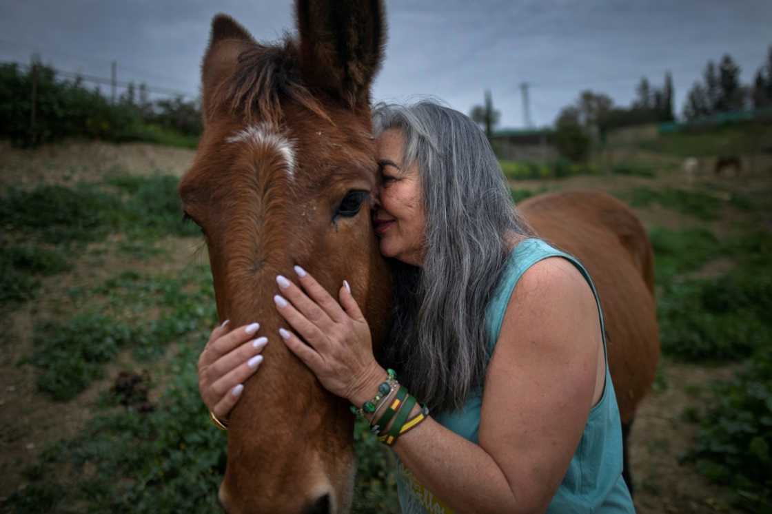 Concordia Marquez, founder of a horse shelter near Malaga, denounces 'inhumane' working conditions for the animals