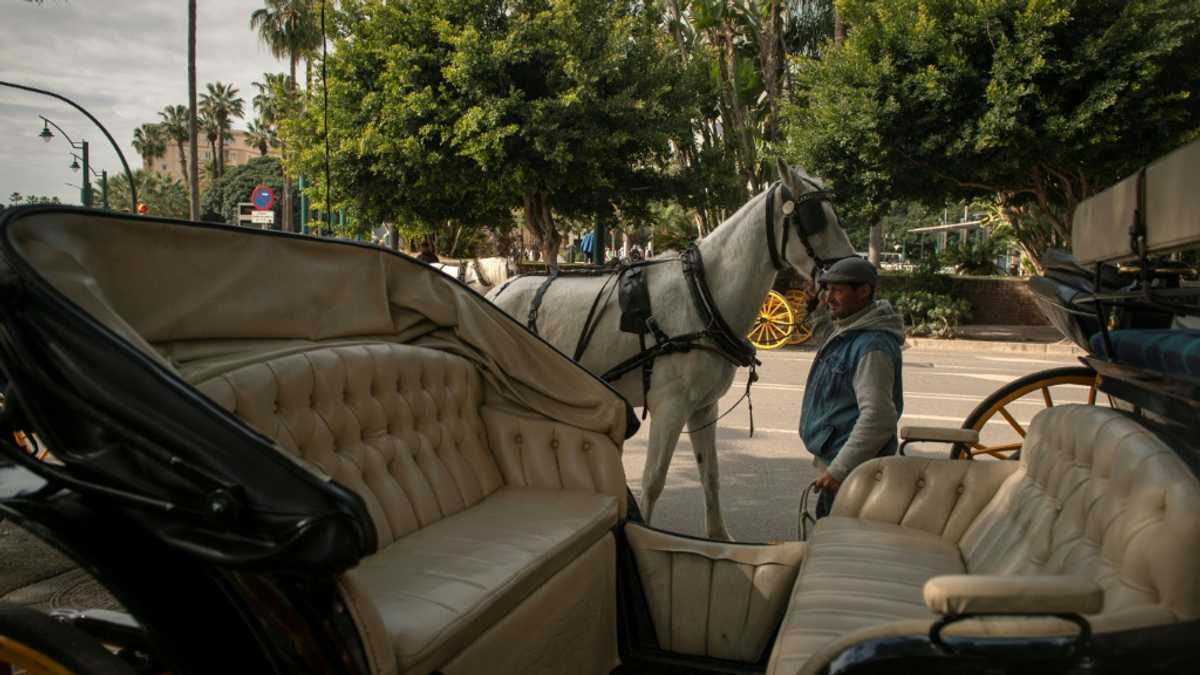 Spanish tourist hotspot Malaga to ban horse-drawn carriages