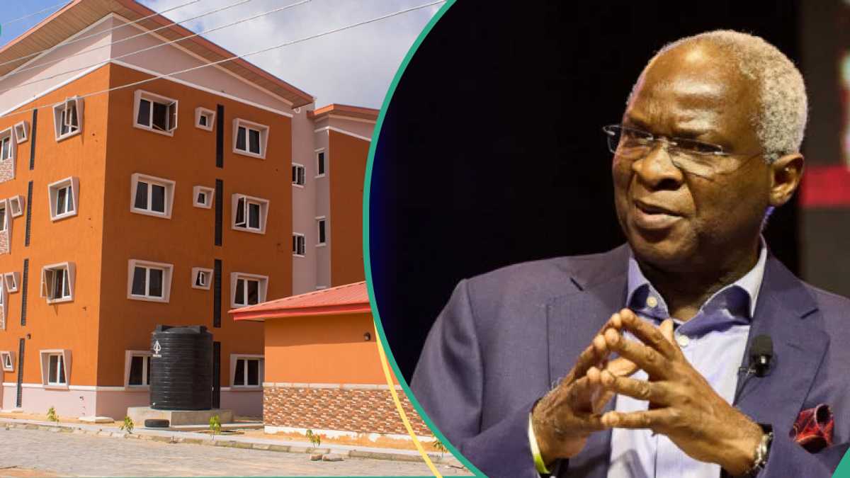 Fashola, Experts Push for Monthly Rent Payment System in Nigeria