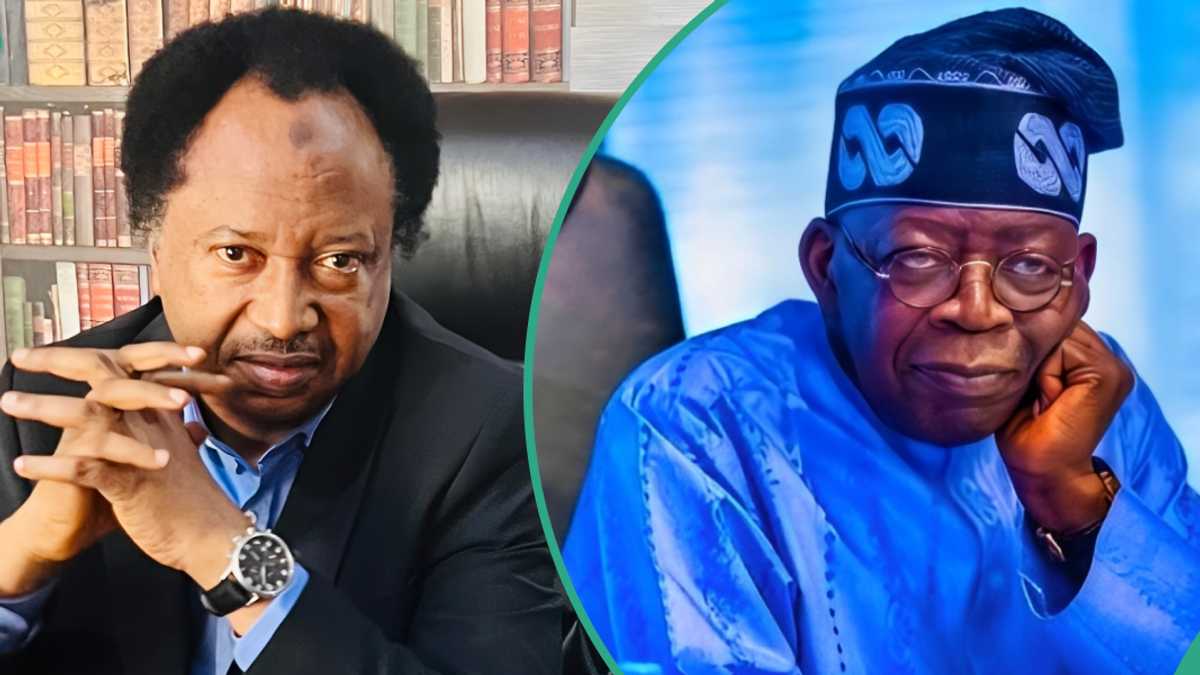 PDP Chieftain Reacts As Shehu Sani, 4 National Assembly Members Join APC, “Displaced Politicians”