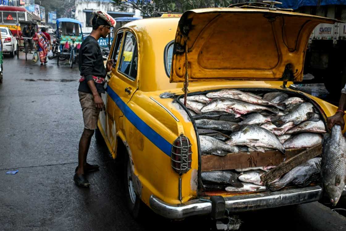 India's beloved 'Amby' has gradually been muscled off the roads by more modern vehicles