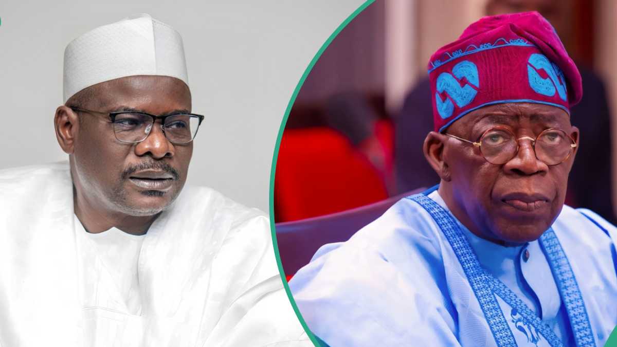 “Probe US Lawmaker’s Weighty Claim USAID Funded Boko Haram,” Ndume Tells Tinubu’s Govt