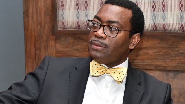 AfDB president, Adesina reacts to reports on 2027 presidential race