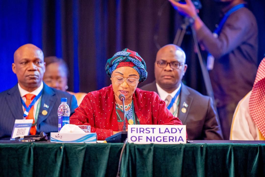 Africa Must Look Inward For Health Financing, Says Remi Tinubu