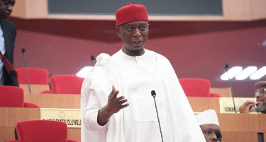 Chants Erupt After Senate Announced Ned Nwoko’s Defection To APC