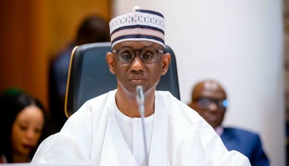 Gen Musa's Visa Denial: Ribadu Should Be Removed From Office - PDP Chieftain