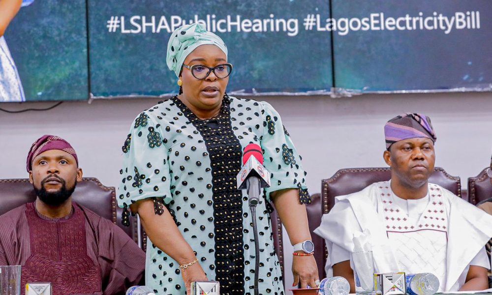 Lagos House Of Assembly Holds Public Hearing On Electricity Bill