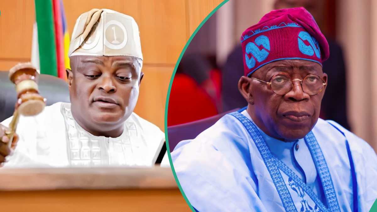 Lagos Lawmakers Ignore Obasa, Pledge Loyalty, Support for Tinubu’s Govt, Reason Emerges