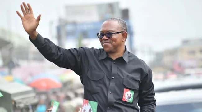 'We Are United Under Him' - Labour Party Names Peter Obi 2027 Presidential Candidate