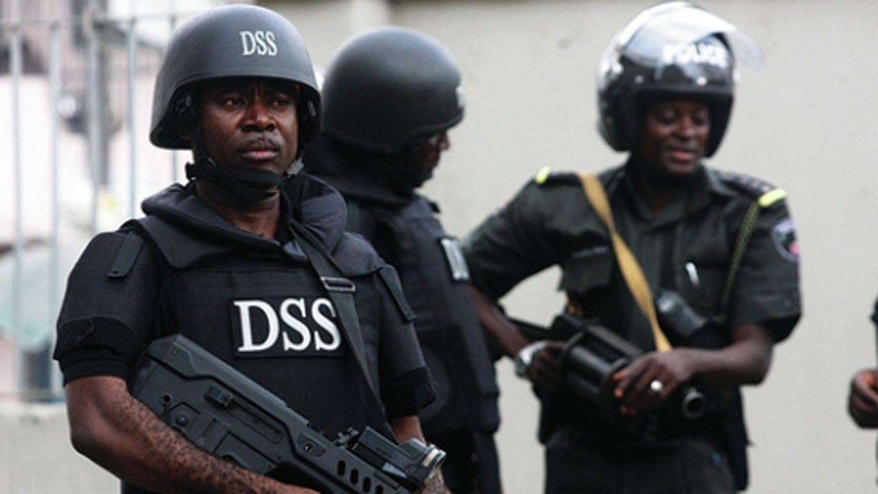 Why we Invaded Lagos Assembly - DSS