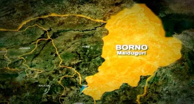 Police arrest 8 suspects for killing, burying baby in Maiduguri hospital